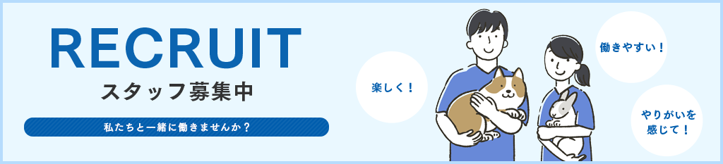 獣医師・動物看護師募集中